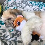 Profile Picture of Joan St. Claire (@joanst.claire) on Instagram