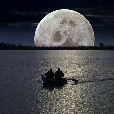 Profile Picture of Amani (@AmaniMohammed50) on Twitter