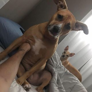 Profile Picture of Adam Jordan (@Adam-Jordan) on Facebook