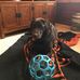 Profile Picture of Suzanne Michaud (@suzanne.michaud.503) on Facebook