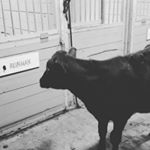 Profile Picture of caleb bowden (@bowdencaleb) on Instagram