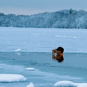 Profile Picture of Danny Greene (@dannygreene3243) on Youtube