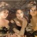 Profile Picture of Paula Schilling (@paulaschilling) on Pinterest