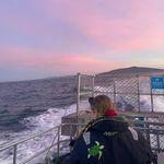 Profile Picture of Jordan Neill (@jordan__neill) on Instagram