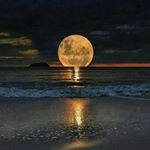 Profile Picture of Alvin P C (アルヴィン●プリエルサ●チャイラワン) (@priersackh) on Instagram