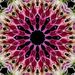 Profile Picture of Jenna Lalick (@greenpisces) on Pinterest