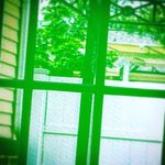 Profile Picture of Nicholas Nick Faletti (@nfalettisottile7205) on Instagram