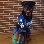 Profile Picture of Fernando Valiente Infante (@fernandosurgcoach) on Instagram