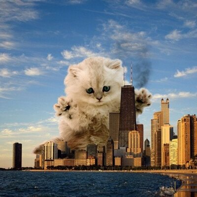 Profile Picture of Eileen Mcmahon (@eileenomcmahon) on Twitter