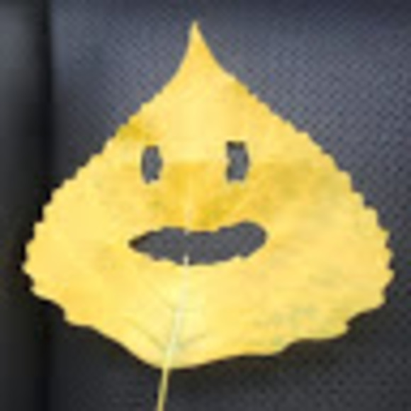 Profile Picture of Lenore Klein (@linnyklein) on Poshmark