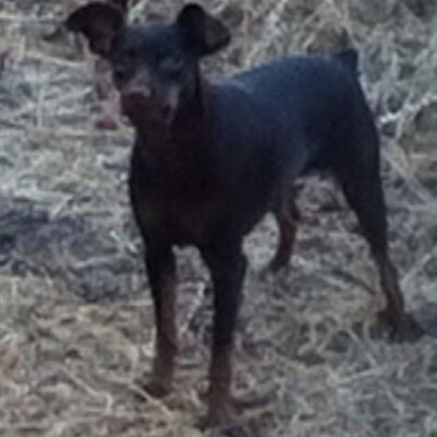 Profile Picture of Maya Gomez (@mayagomez11) on Twitter