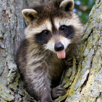 John Berwick - Twitter Profile Picture of John Berwick (@JohnBerwick7) on Twitter