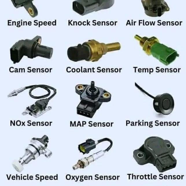 Profile Picture of Peter Nshimi (@peter.nshimi) on Tiktok