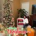 Profile Picture of Ann Lemons (@ann.lemons) on Facebook