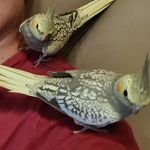 Profile Picture of Zeka e Luke (@zeka_e_luke) on Instagram