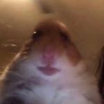 Profile Picture of keith never better (@weedheadkeith) on Instagram