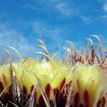 Profile Picture of Brian Folmer (@briankeith91) on Instagram