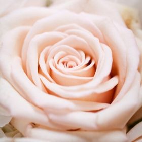 Profile Picture of Lori Skelly (@loris825) on Pinterest