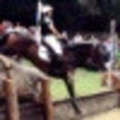Profile Picture of NT Sport Horses (@ntsporthorses) on Twitter