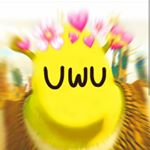 Profile Picture of Audrey (@darling.hoeny) on Instagram