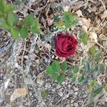 Cruz Pagan - Instagram Profile Picture of Cruz Pagan (@cruzpgn) on Instagram