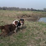 Profile Picture of Thomas Zuck (@bauenmitzuck) on Instagram