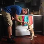 Profile Picture of Steve Ballew (@ballewsteve) on Instagram