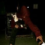 Profile Picture of Abel Cordova (@abel_aviles_217) on Instagram