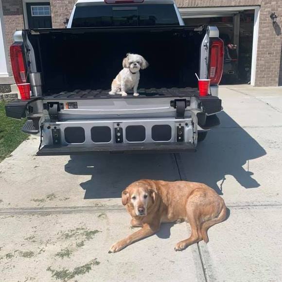 Profile Picture of Amanda Chambers (@zebra_05) on Poshmark