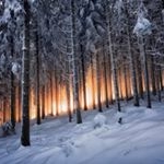 Profile Picture of Gisela Sidabutar (@sternenstein64) on Instagram