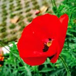 Profile Picture of Jason bruno (@jason_bruno12) on Instagram