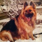 Profile Picture of Tandi Davis (@davistandi) on Instagram