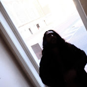 Profile Picture of Austin Fox 狐 (@austinfoxkanji) on Youtube