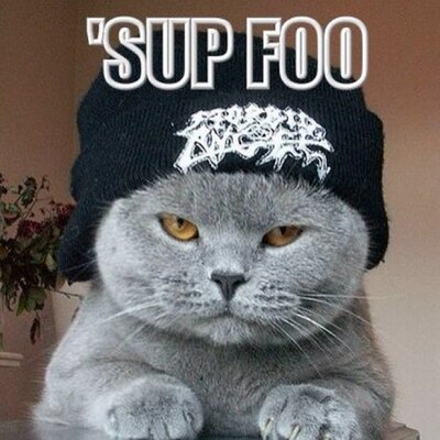 Profile Picture of Jake Sarver (@dx_jake) on Twitter