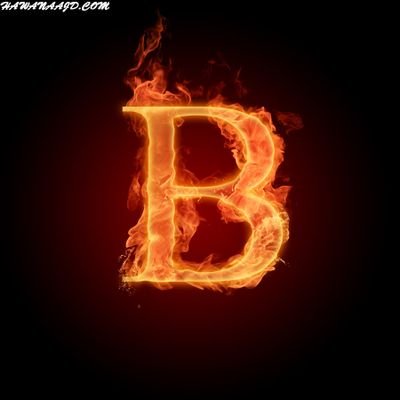 Profile Picture of Brad Kale (@BradKale_) on Twitter