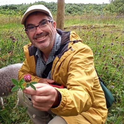 Profile Picture of Paul Muto (@paolomuto) on Twitter