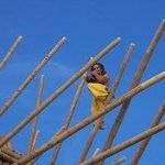 Profile Picture of Adam Hubenig (@alohatreeworks) on Instagram