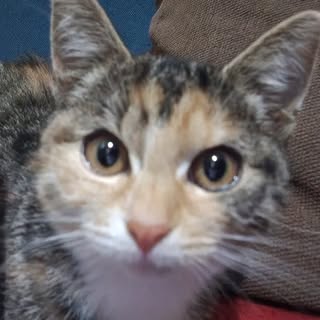 Profile Picture of Nicolas Amore (@nicolas_amore) on Instagram