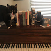 Profile Picture of Levi Walls (@leviwalls2671) on Youtube