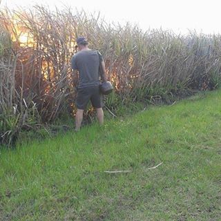 Profile Picture of Carlos Burgardt (@carlos.burgardt.31) on Facebook