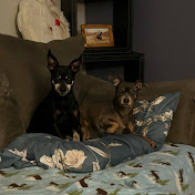 Profile Picture of Eric Savoy (@Elladanz) on Youtube