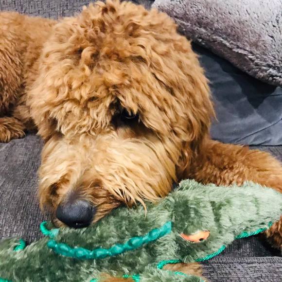 Profile Picture of Francesca Kotsakis (@fkotsakis) on Poshmark