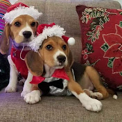 Profile Picture of Lorena Fabian (@lorenafabian8685) on Youtube