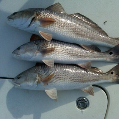 Profile Picture of Jared Cleland (@jaredc23) on Twitter