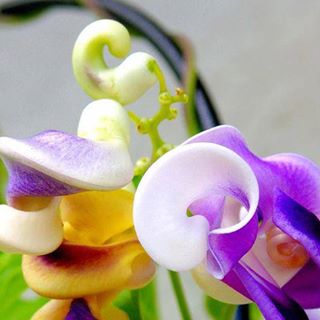 Profile Picture of Maria Webb (@maria.webb.3386) on Facebook