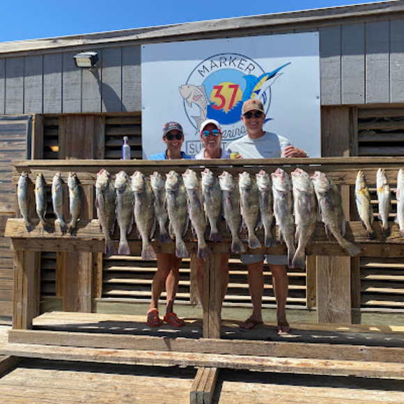 Paul Braly - Poshmark Profile Picture of Paul Braly (@paulbraly) on Poshmark