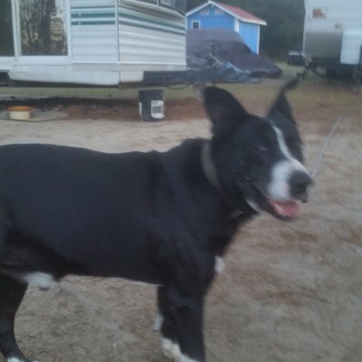 Profile Picture of Kris Duncan (@KrisDun29190427) on Twitter