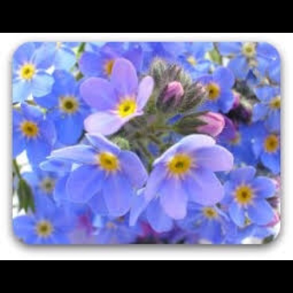 Profile Picture of Majda Alhaj (@lamarnoora) on Poshmark