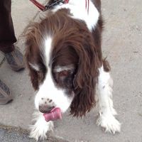 Profile Picture of Steve Haughton (@steve-haughton-5) on Quora