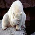 Profile Picture of Scottie Jones (@scottiejones86) on Instagram